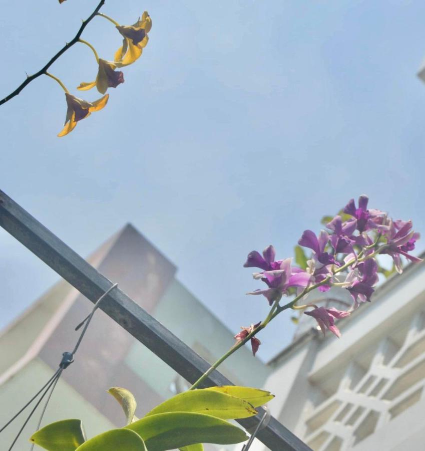 The House 36 Apartment Hoi An Exterior foto